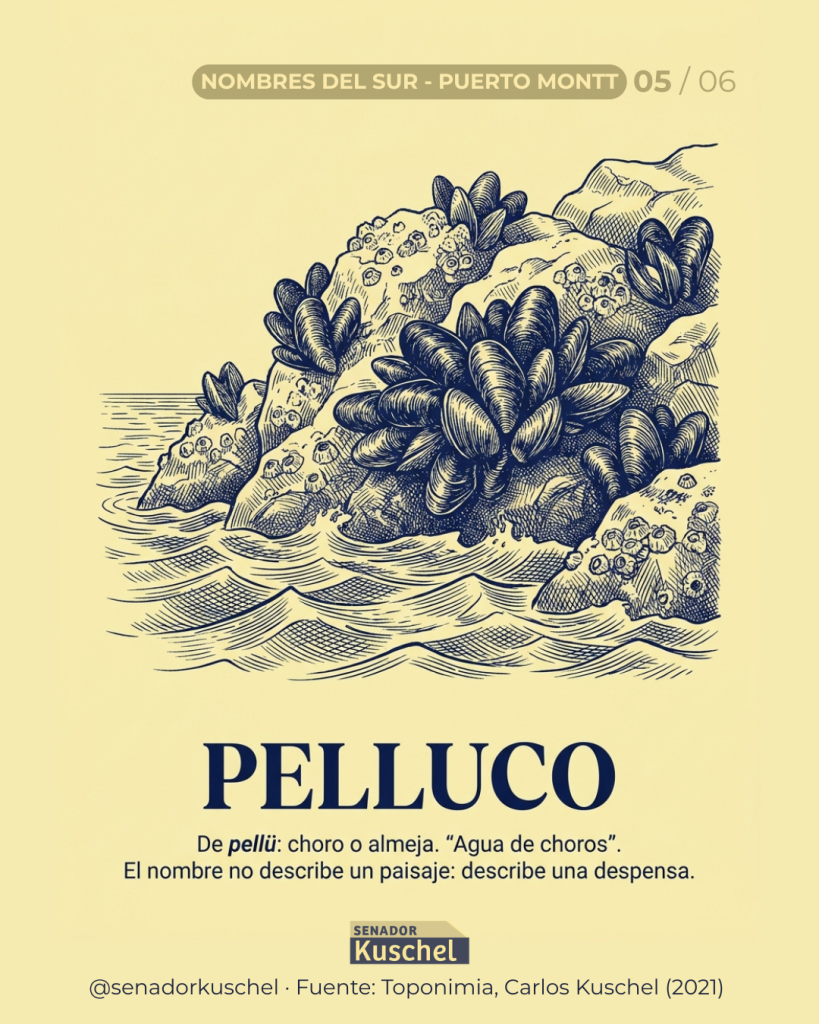 Lámina de la serie Nombres del Sur: Pelluco, «agua de choros», con un grabado de un banco de choros.